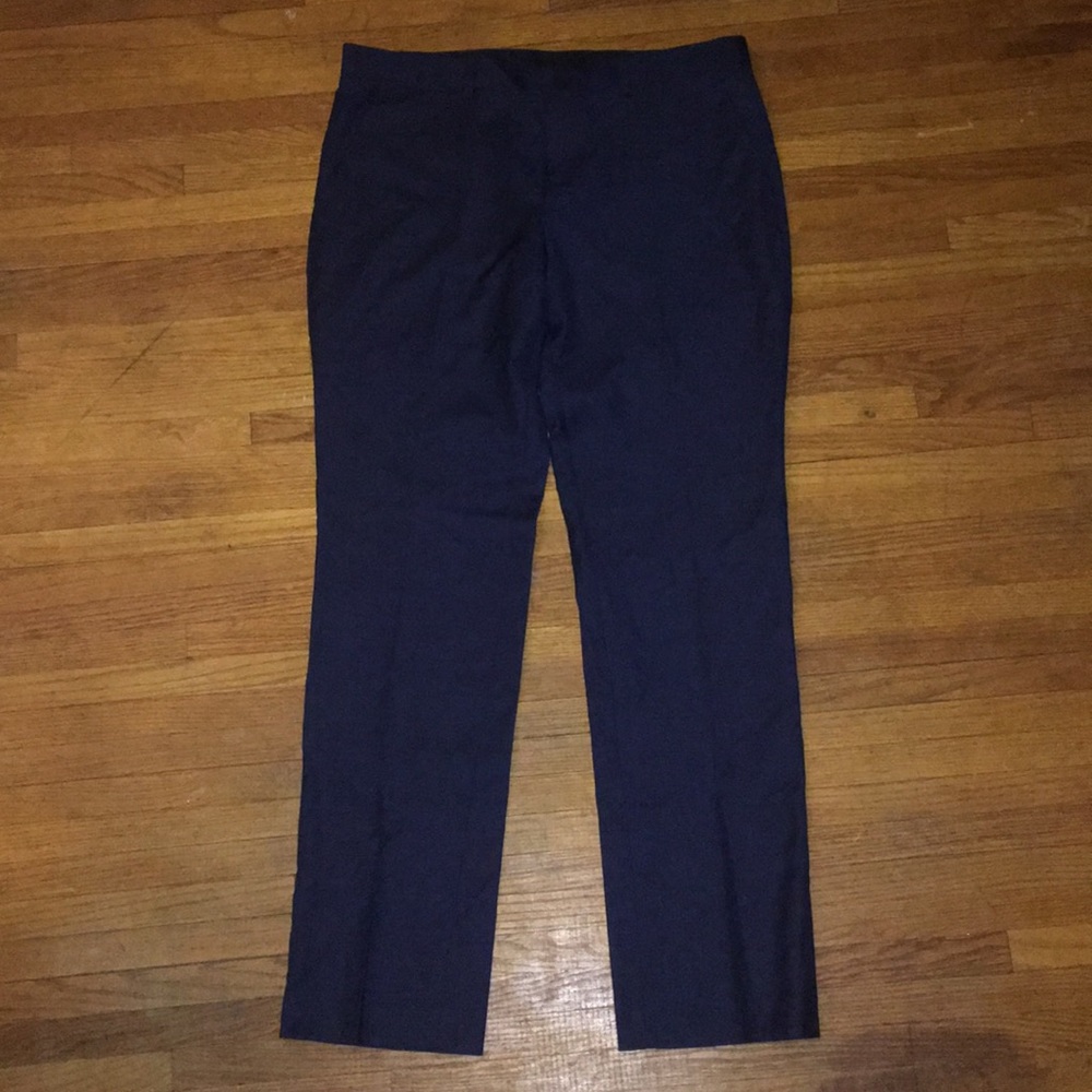 Express Photographer Dress Pants